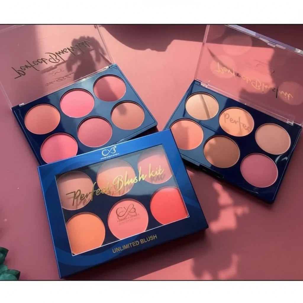 CVB Blush & Contour Kit – Sculpting & Radiant Face Makeup Palette - Buy Online in Pakistan at Cosmia.pk
