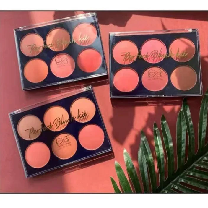 CVB Blush & Contour Kit - Buy Online in Pakistan at Cosmia.pk