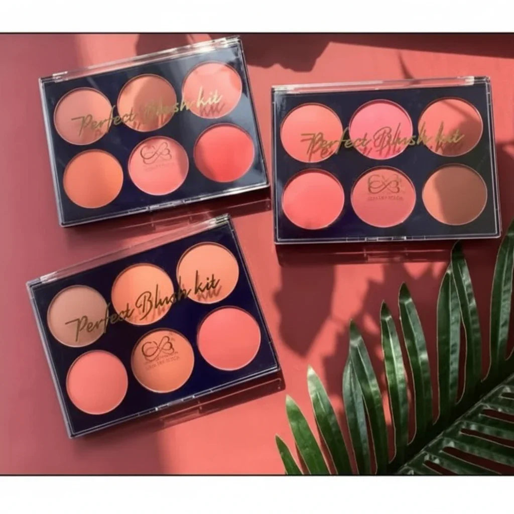 CVB Blush & Contour Kit – Sculpting & Radiant Face Makeup Palette - Buy Online in Pakistan at Cosmia.pk