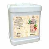 Soft Touch Soft Touch Mani & Pedi Shampoo - 5 Ltr | Buy Online in Pakistan at Cosmia.pk