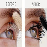 Rimmel Ultimate Boost Volume Lash Primer - Buy Online in Pakistan at Cosmia.pk