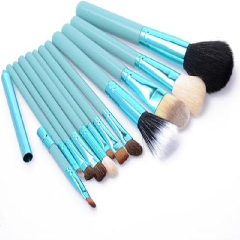 12 Pcs Brush Set - Buy Online in Pakistan at Cosmia.pk