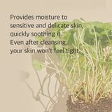 Mixsoon Centella Cleansing Foam – 150 ml - Buy Online in Pakistan at Cosmia.pk