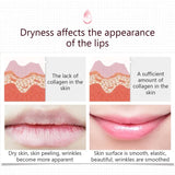 BIOAQUA Lip Care Keep Lip Lasting Moisture Replenishment Lip Sleeping Mask – 20g - Buy Online in Pakistan at Cosmia.pk