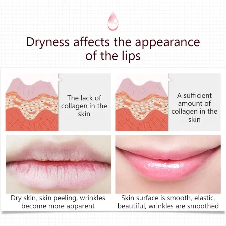 BIOAQUA Lip Care Keep Lip Lasting Moisture Replenishment Lip Sleeping Mask – 20g - Buy Online in Pakistan at Cosmia.pk
