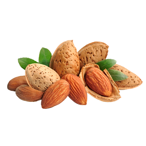 Vatika Naturals Almond Styling Hair Cream - 140ml - Buy Online in Pakistan at Cosmia.pk