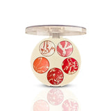 Aqua Color Line 5 in 1 Highlighter & Blush on Kit - Buy Online in Pakistan at Cosmia.pk