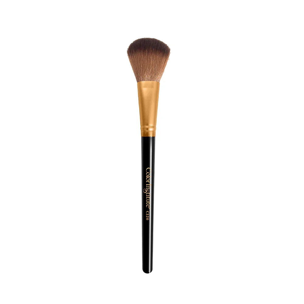 Color institute powder brush . (CI 20) - Buy Online in Pakistan at Cosmia.pk