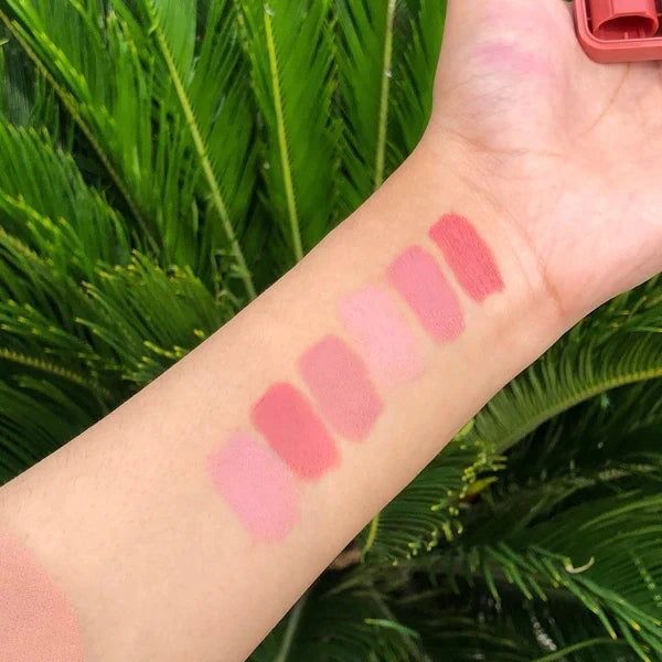 Color Castle Nude Matte Lipstick - Buy Online in Pakistan at Cosmia.pk