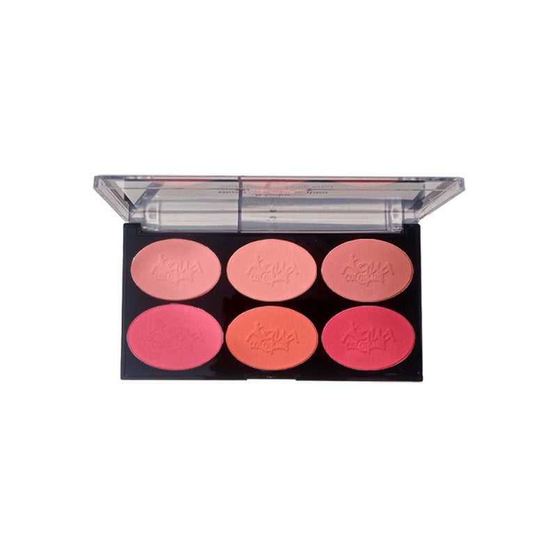 Aqua Color Line 6 Color Blush Palette - Buy Online in Pakistan at Cosmia.pk