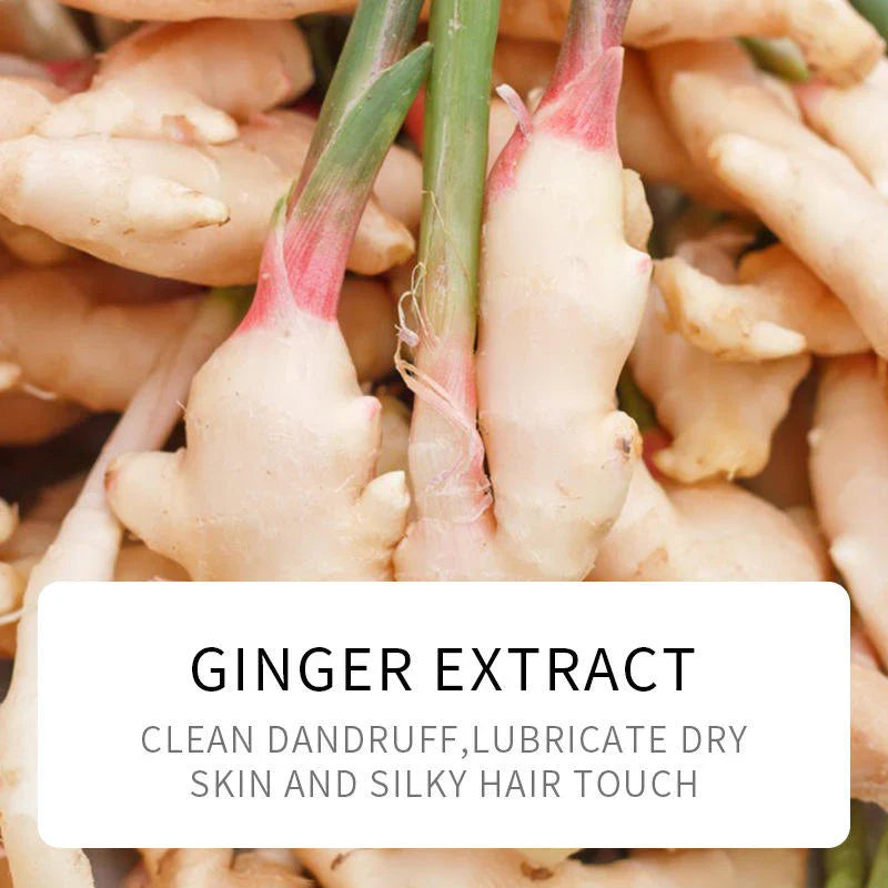 Sadoer Plant Ginger Refreshing Pliable Shampoo - 500ml - Buy Online in Pakistan at Cosmia.pk