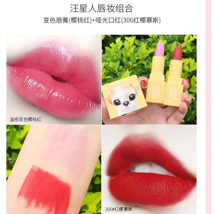 Heng Fang Lipstick Set - Buy Online in Pakistan at Cosmia.pk