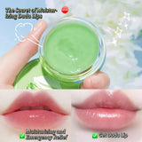 IMAGES Lip balm Night Sleep Hydrated Maintenance Pink sleep Lip mask 6g - Buy Online in Pakistan at Cosmia.pk