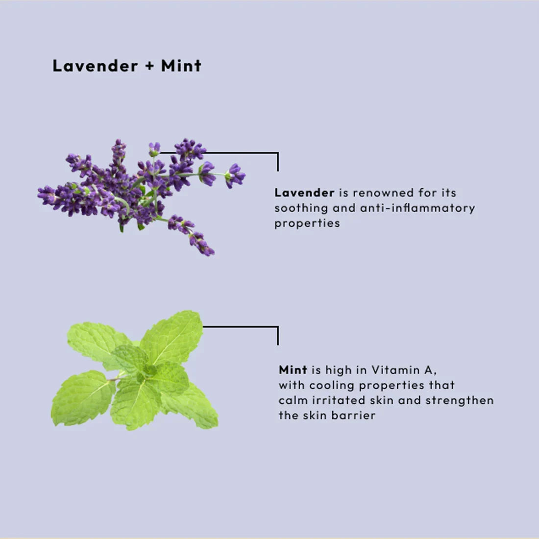 Be Care Love Lavender and Mint Calming Spa 4 Pcs Set - Buy Online in Pakistan at Cosmia.pk