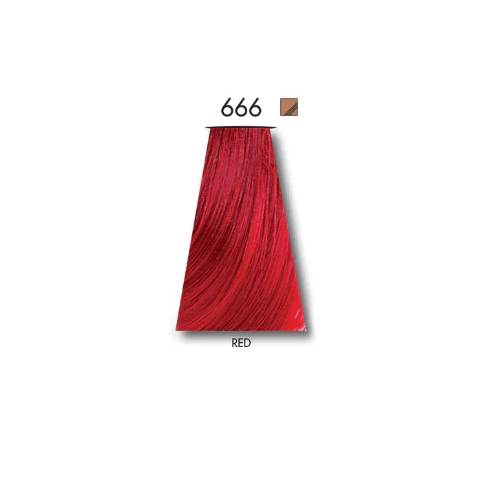 KEUNE TINTA RED 666 with Keune Developer 20 Volume - 60 ml - Buy Online in Pakistan at Cosmia.pk
