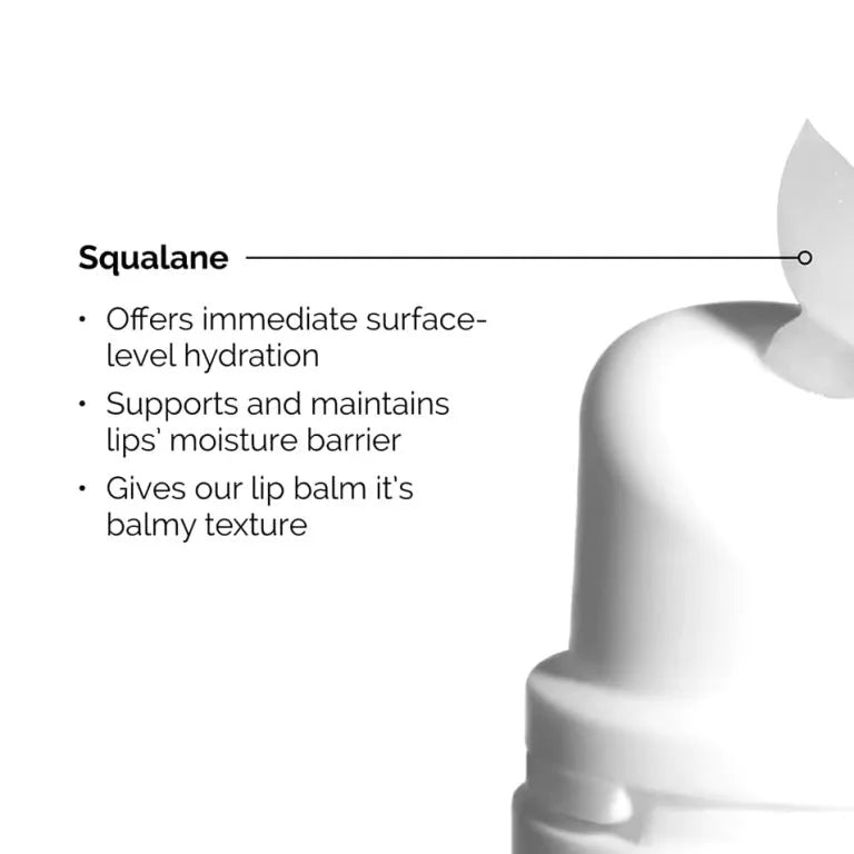 The Ordinary Squalane + Amino Acids Lip Balm - 15ml - Buy Online in Pakistan at Cosmia.pk