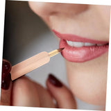 1 PCS Lip Brush – Professional Makeup Applicator - Buy Online in Pakistan at Cosmia.pk