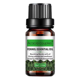 Acacia Couples Ginger pure essential oil 10ml - buy online in Pakistan