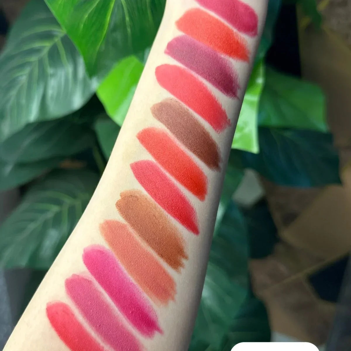 12 Pcs Shahnaz Hussain Matte Lipstick - Buy Online in Pakistan at Cosmia.pk