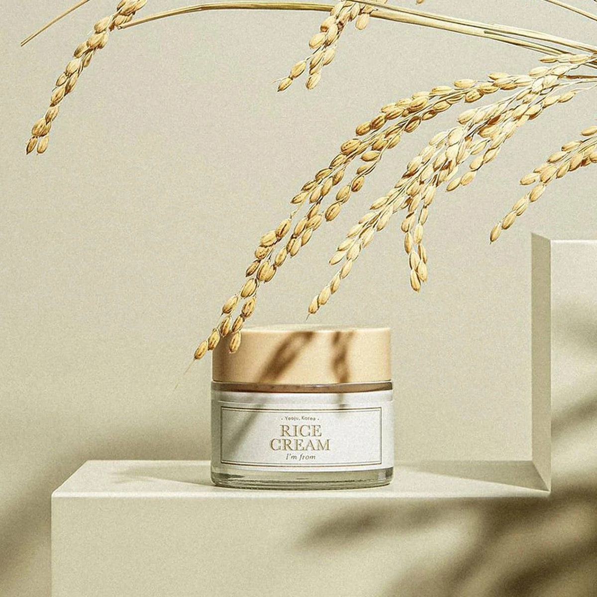 I'm From Rice Cream 50g on pedestal with rice stalks, Cosmia.pk Pakistan