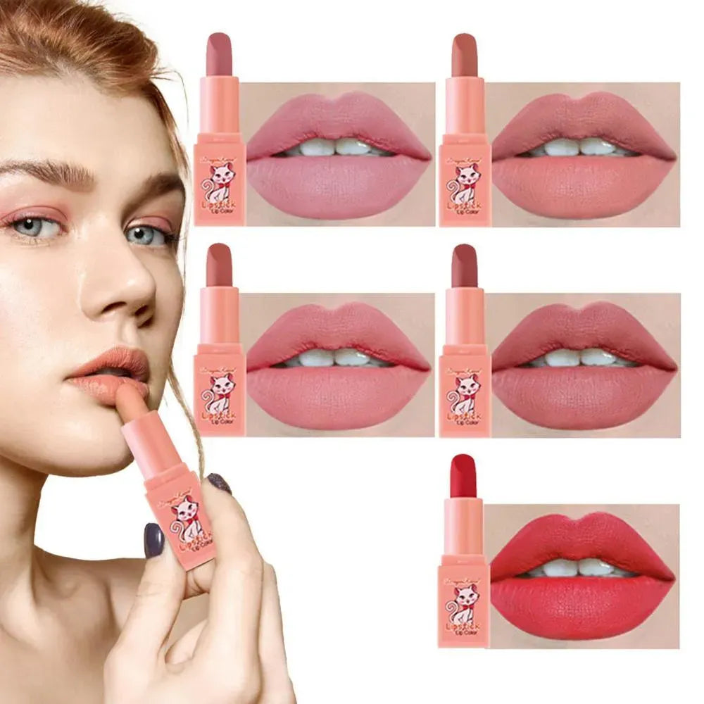 Dragon Ranee 5Pcs Matte Lipstick Set - Buy Online in Pakistan at Cosmia.pk