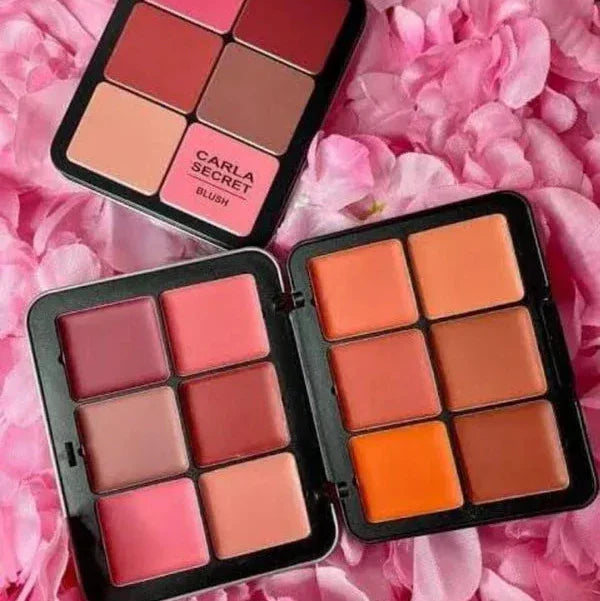 Carla Secret Concealer & Blush Palette - Buy Online in Pakistan at Cosmia.pk