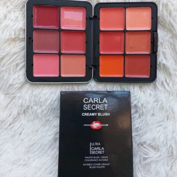 Carla Secret Concealer & Blush Palette - Buy Online in Pakistan at Cosmia.pk