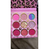 Kevin and Coco 9 Colors Face Palette open palette shop photo