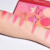 Spicy Girl blusher palette by KEVIN&COCO - pin-up girl edition packaging