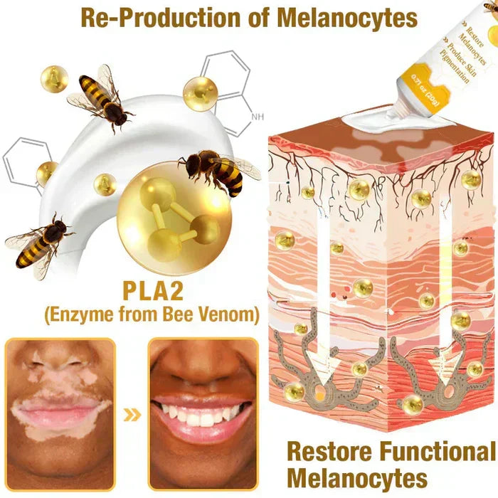 Fivfivgo VitiGO Bee Venom Correcting Cream – 20g - Buy Online in Pakistan at Cosmia.pk