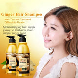 Bioaqua Plant Extract Fluffy and Refreshing Ginger Shampoo - 400g - Buy Online in Pakistan at Cosmia.pk
