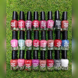 SHEGLAM PEEL OFF NAIL POLISH (6ml each) - PACK OF 24 - Buy Online in Pakistan at Cosmia.pk